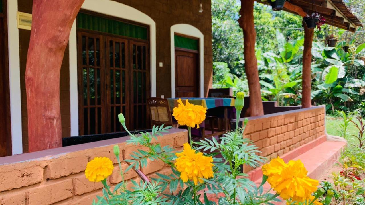 Sigiriya Chena Villa Экстерьер фото
