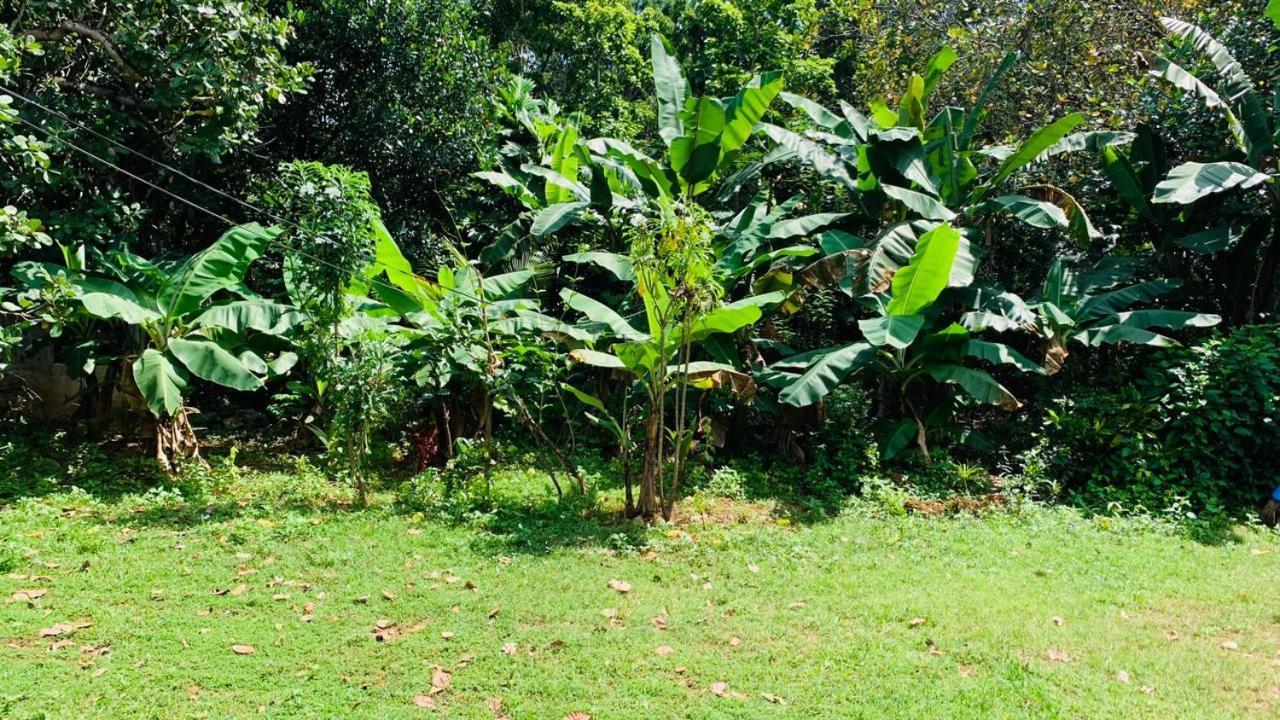 Sigiriya Chena Villa Экстерьер фото